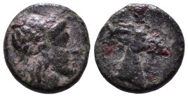 AEOLIS. Aigai. Circa 4th-3rd centuries BC. Obv: Laureate head of Apollo right. Rev: Head of goat right. Æ 10mm, 0,93g