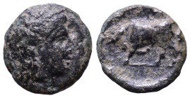 MYSIA. Gambrion. 4th century BC. Obv: Laureate head of Apollo to right. Rev: Bull butting left. Æ 9mm, 0,74g