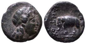 SELEUKID KINGDOM. Antiochos III ‘the Great’, 222-187 BC. Obv: Laureate head of Apoll right. Rev: BAΣΙΛΕΩΣ ANTIOXOY Elephant advancing left. Æ 12mm, 1,...