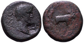 MACEDON. Philippi. Augustus 27 BC-14 AD. Obv: AVG Bare head of Augustus to right. Rev: Two founders driving yoke of oxen right, plowing pomerium. Æ 17...