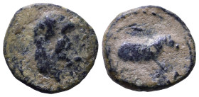 Uncertain Roman Provincial Coin. Circa 1st-3rd centuries AD. Obv: Male bust right. Rev: Uncertain animal standing right. Æ 11mm, 0,93g