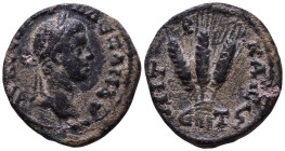 CAPPADOCIA. Caesarea. Severus Alexander, 222-235. Obv: AV K CЄOV H AΛЄΞΑΝΔ Laureate head right. Rev: MHTPOΠ ΚΑΙCA ЄΤ ς Bundle of three grain ears. Æ 2...