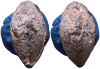 Greek/Roman lead sling-bullet. Scorpion 41mm, 55,84g