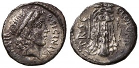 Sicinia - Q. Sicinius e C. Coponius - Denario (49 a.C.) Testa di Apollo a d. - R/ La clava d’Ercole ricoperta da pelle di leone - B. 1; Cr. 444/1 AG (...