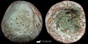 Anonymous Bronze Shell formatum 49.68 g. 38 mm. Italy V-III c. BC Good very fine