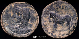 Bora Bronze As 30,94 g., 35 mm. Alcuadete, Jaen 120-80 B.C. gVF