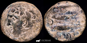 Gades Bronze As 11.48 g. 25 mm. Cadiz 200-100 BC. Good very fine