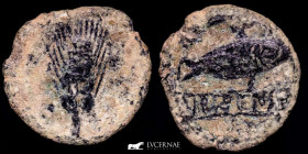 Ilipense/Ilipa bronze Semis 8.13 g. 25 mm. Ilipense/Ilipa II B.C. Fine