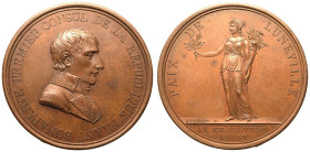 France Napoleon Bonaparte 1801 Bronze Medal The Treaty of Luneville