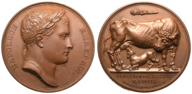 France: First French Empire Napoleon I 1809 Bronze Medal Commemorating the conquest of Illyria