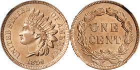 1859 Indian Cent. Unc Details--Cleaned (NGC).