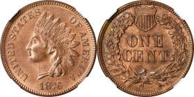1876 Indian Cent. MS-63 RB (NGC).