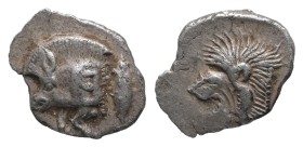 Mysia, Kyzikos. AR Obol. 0.76 g. 12.27 mm. Circa 450-400 BC.
Obv.: Forepart of boar left, with Ǝ on shoulder; to right, tunny upward.
Rev.: Head of ...