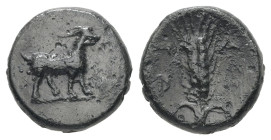 Cyclades, Paros. Ae, 1.48 g 11.33 mm. 4th-3rd century BC.
Obv: Goat standing right.
Rev: Π-Α/Ρ-Ι Grain ear.
Ref: BMC 7. HGC 6, 677.
Very fine.