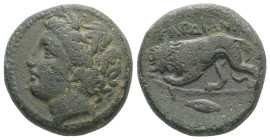 Thrace, Kardia. Ae, 9.22 g 20.06 mm. Circa 350-309 BC.
Obv: Wreathed head of Persephone left, wearing earring and necklace.
Rev: KAPΔIA. Lion standing...