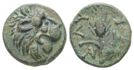 Thrace, Lysimacheia. AE. 3.12 g. - 15.66 mm. Circa 309-220 BC.
Obv.: Lion head right.
Rev.: ΛΥ - ΣΙ. Grain ear.
Ref.: Cf. SNG Copenhagen 918-9.
Good V...