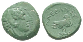 Kings of Macedon, Alexander III 'the Great'. Ae, 3.57 g 15.67 mm. 336-323 BC. Amphipolis.
Obv: Head of Herakles right, wearing lion skin.
Rev: AΛΕΞΑΝΔ...