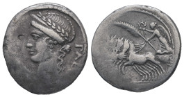 C. Considius Paetus, 46 BC. AR, Denarius. 3.71 g. 18.93 mm. Rome.
Obv: PAETI. Head of Venus, left, laureate and wearing diadem.
Rev: C CONSIDI. Victor...