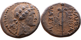 Apameia ad Orontem, Syria, (I Century BC) Bronze coin. Obv: . Head of Dionysos right, wreathed with ivy Rev: , thyrsos.

20mm 7,40g

Artificial sa...