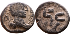 Imitation of Antioch bronze coin

24mm 9,47g

Artificial sand patina
