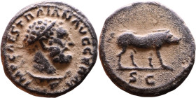 Trajan (98-117) quadrans Obv:e. IMP CAES TRAIAN AVG GERM, diademed bust of Hercules right with lionskin knotted around neck Rev: Boar walking right, S...