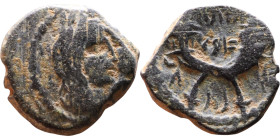 Aretas IV Philopatris (King of the Nabataeans: 9 BC – 40 AD) Bronze coin. Obverse: Jugate busts of Aretas IV and Shugailat Reverse: Crossed cornucopia...