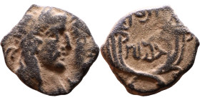 Aretas IV Philopatris (King of the Nabataeans: 9 BC – 40 AD) Bronze coin. Obverse: Jugate busts of Aretas IV and Shugailat Reverse: Crossed cornucopia...