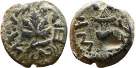 JUDAEA. Jerusalem mint. First Jewish Revolt (66-70 AD). AE prutah. Obv.: Two handled amphora. Rev.: vine leaf on small branch, bears the legend "for t...