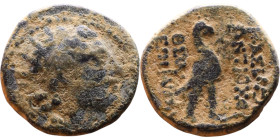 Antiochos VIII (Seleukid King: 121-96 BC). AE bronze. Obv.: diademed head of Antiochus right. Rev.: Eagle standing left on thunderbolt

19mm 5,23g