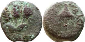 JUDAEA. Jerusalem mint. Agrippa I (under Claudius, 37-44 AD). AE prutah. Obv.: ΒΑCΙΛΕWC ΑΓΡΙΠΑ; Umbrella-like canopy with fringes. Rev.: Three ears of...