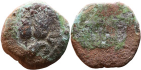 JUDAEA. Jerusalem mint. Agrippa I (under Claudius, 37-44 AD). AE prutah. Obv.: ΒΑCΙΛΕWC ΑΓΡΙΠΑ; Umbrella-like canopy with fringes. Rev.: Three ears of...