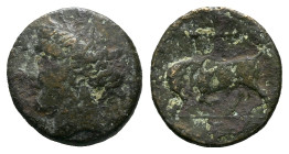 Sicily, Syracuse Bronze circa 317-289