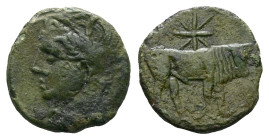 The Carthaginians in Sicily and North Africa, Sardinia Bronze circa 216 - Ex Naville Numismatics sale 75, 79. From the E.E. Clain-Stefanelli collectio...