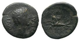 Lydia, Philadelphia Gaius, 37-41 Bronze circa 37-41