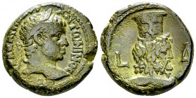 Elagabalus AE Tetradrachm, Serapis reverse 

Elagabalus (218-222 AD). AE Tetradrachm (23 mm, 13.65 g), Egypt, Alexandria. Dated year 4 (220/221).
O...