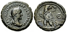 Severus Alexander AE Tetradrachm, Eagle reverse 

Severus Alexander (222-235 AD). AE Tetradrachm (23-24 mm, 11.91 g), Egypt, Alexandria. Dated year ...