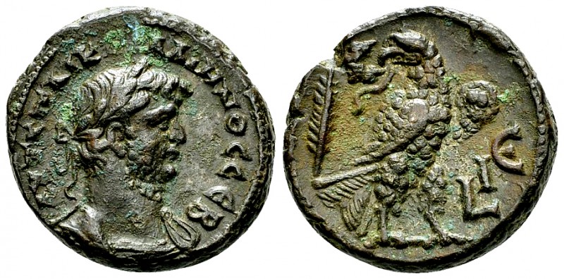 Gallienus AE Tetradrachm, Eagle reverse 

Gallienus (253-268 AD). AE Tetradrac...