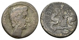 Octavianus AR Quinarius, Cista mystica reverse 

Octavianus. AR Quinarius (14 mm, 1.31 g), Brundisium or Roma, 29-28 BC.
Obv. CAESAR IMP VII, Bare ...