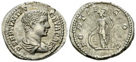Geta AR Denarius, Minerva reverse 

Septimius Severus (193-211 AD) for Geta Caesar. AR Denarius (18-20 mm, 3.67 g), Rome, c. 202.
Obv. P SEPTIMIVS ...