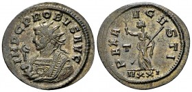 Probus silvered AE Antoninianus, Pax reverse 

Probus (276-282 AD). Silvered AE Antoninianus (23-24 mm, 3.50 g), Ticinum, 6th officina.
Obv. IMP C ...