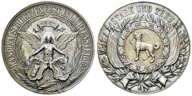 Lichtensteig, AR Medaille 1897, Kant. Schützenfest 

Schweiz, Lichtensteig. AR Medaille 1897 (33 mm, 16.89 g), auf das Kantonalschützenfest.
Richte...
