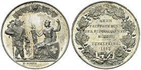Bern, WM Medaille 1853 

Schweiz, Eidgenossenschaft. Bern. WM Medaille 1853 (40 mm, 25.31 g), auf den 500. Jahrestag des Beitritts zum Bund.

Vorz...