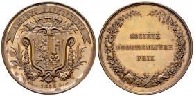 Genf, AE Medaille 1858, Prix de la Société d'Horticulture 

Schweiz. Genf, Stadt. AE Medaille 1858 (37-38 mm, 27.51 g), Prix de la Société d'Horticu...