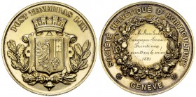 Genf, Vergoldete AR Medaille 1891, Société Helvétique d'horticulture 

Schweiz. Genf, Stadt. Vergoldete AR Medaille 1891 (56 mm, 75.58 g), Société H...