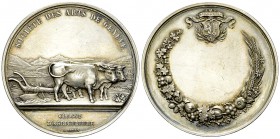 Genf, AR Medaille o.J., Classe d'Agriculture 

Schweiz. Genf, Stadt. AR Medaille o.J. (46 mm, 48.63 g), Société des arts de Genève, Classe d'Agricul...