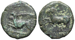 GRÈCE ANTIQUE - GREEK
Sicile, Alaesa. Bronze AE22 “KAINON” ND (c.340 av. J.-C.), Alaesa.
SNG ANS 1169-1174 ; Bronze - 7,22 g - 22 mm - 6 h
Avec une pa...