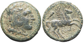 RÉPUBLIQUE ROMAINE - ROMAN REPUBLIC
Anonymes. Dilitron ND (230-226 av. J.-C.), Rome.
RRC.27/3 ; Bronze - 5,91 g - 18,5 mm - 7 h
TB.