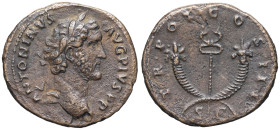EMPIRE ROMAIN - ROMAN
Antonin le Pieux (138-161). As ND (140-144), Rome.
RIC.705A ; Bronze - 10,91 g - 25,5 mm - 12 h
TTB.