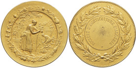 ALGÉRIE - ALGERIA
IIIe République (1870-1940). Médaille, société d’horticulture d’Algérie, par H. Dubois ND, Paris.
Esc.- ; Bronze doré - 47,19 g - 45...