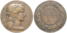 ALGÉRIE - ALGERIA
IIIe République (1870-1940). Médaille, école pratique d’agriculture de Philippeville, par Daniel-Dupuis 1912, Paris.
Esc.- ; Bronze ...